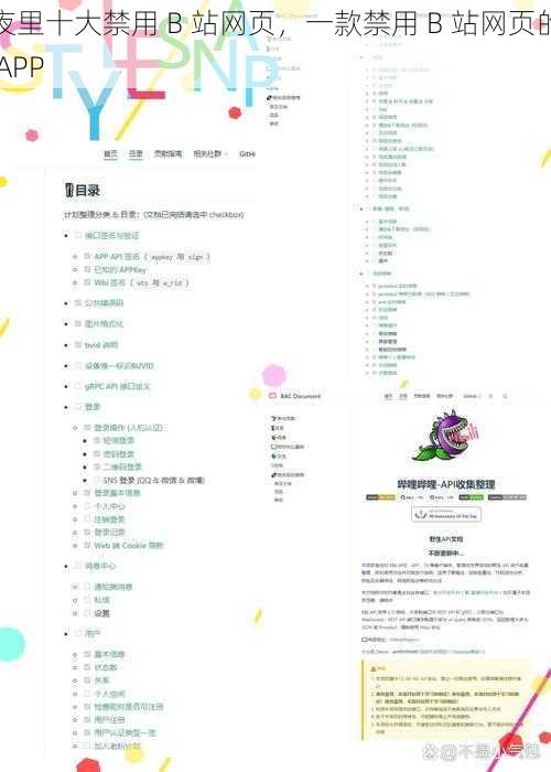 夜里十大禁用 B 站网页，一款禁用 B 站网页的 APP