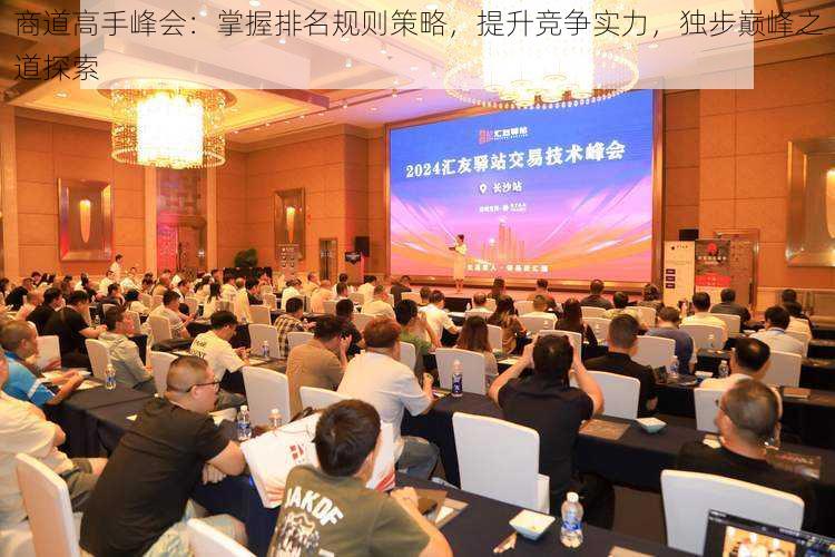 商道高手峰会：掌握排名规则策略，提升竞争实力，独步巅峰之道探索