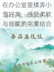 在办公室里揉弄小雪好爽，感受柔软与细腻的完美结合