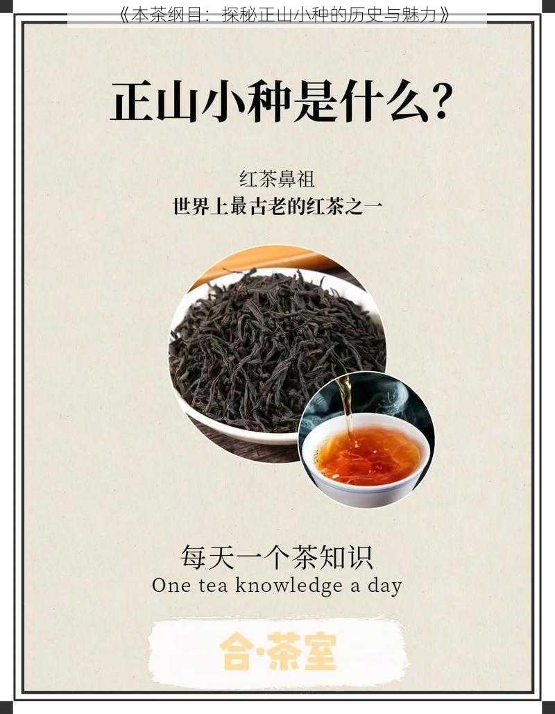 《本茶纲目：探秘正山小种的历史与魅力》