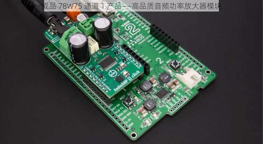 成品 78W75 通道 1 产品——高品质音频功率放大器模块