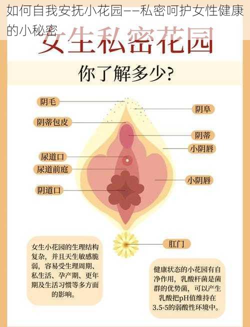 如何自我安抚小花园——私密呵护女性健康的小秘密