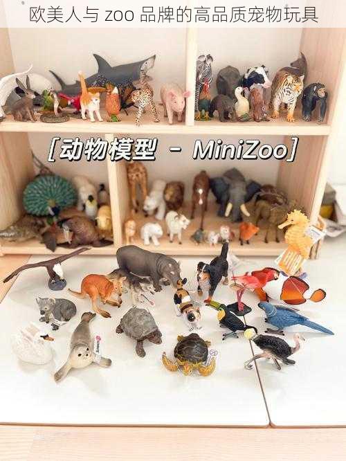 欧美人与 zoo 品牌的高品质宠物玩具