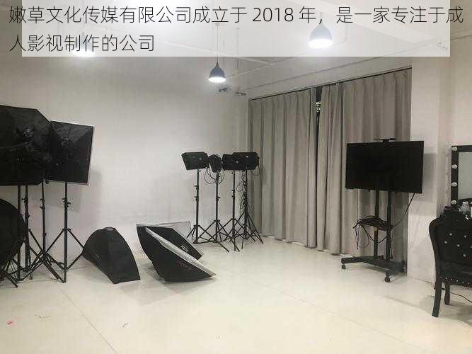 嫩草文化传媒有限公司成立于 2018 年，是一家专注于成人影视制作的公司