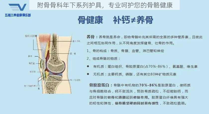 附骨骨科年下系列护具，专业呵护您的骨骼健康