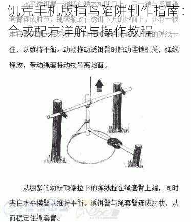 饥荒手机版捕鸟陷阱制作指南：合成配方详解与操作教程