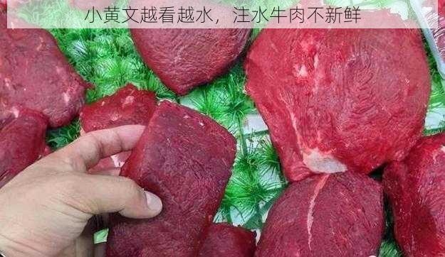 小黄文越看越水，注水牛肉不新鲜