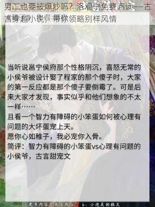 男二也要被爆炒吗？洛观宁免费阅读——古言穿越小说，带你领略别样风情