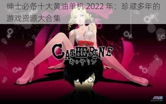 绅士必备十大黄油单机 2022 年：珍藏多年的游戏资源大合集