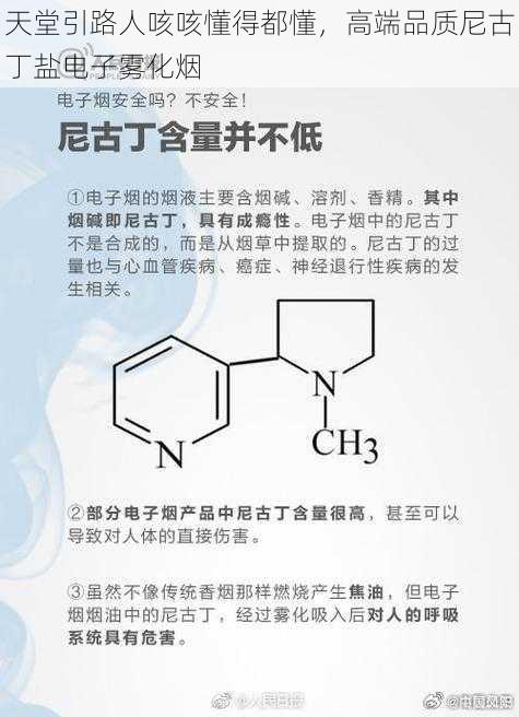 天堂引路人咳咳懂得都懂，高端品质尼古丁盐电子雾化烟