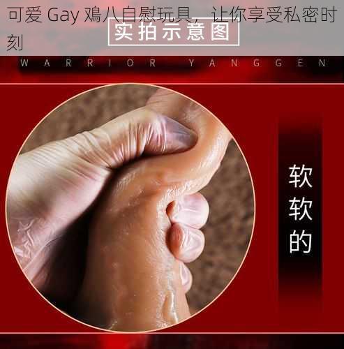 可爱 Gay 鳮八自慰玩具，让你享受私密时刻