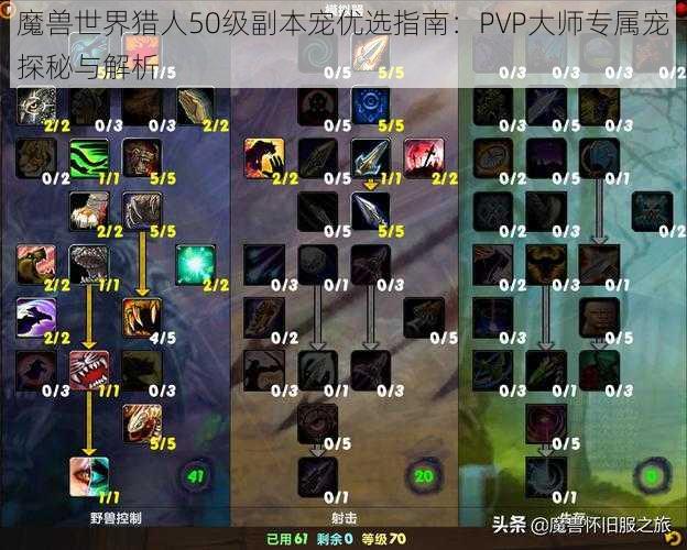 魔兽世界猎人50级副本宠优选指南：PVP大师专属宠探秘与解析