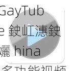 GayTube 鉂屸潓鉂孋 hina 多功能视频播放软件，支持多种格式视频播放