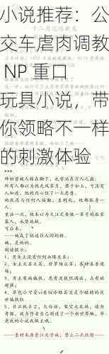 小说推荐：公交车虐肉调教 NP 重口玩具小说，带你领略不一样的刺激体验