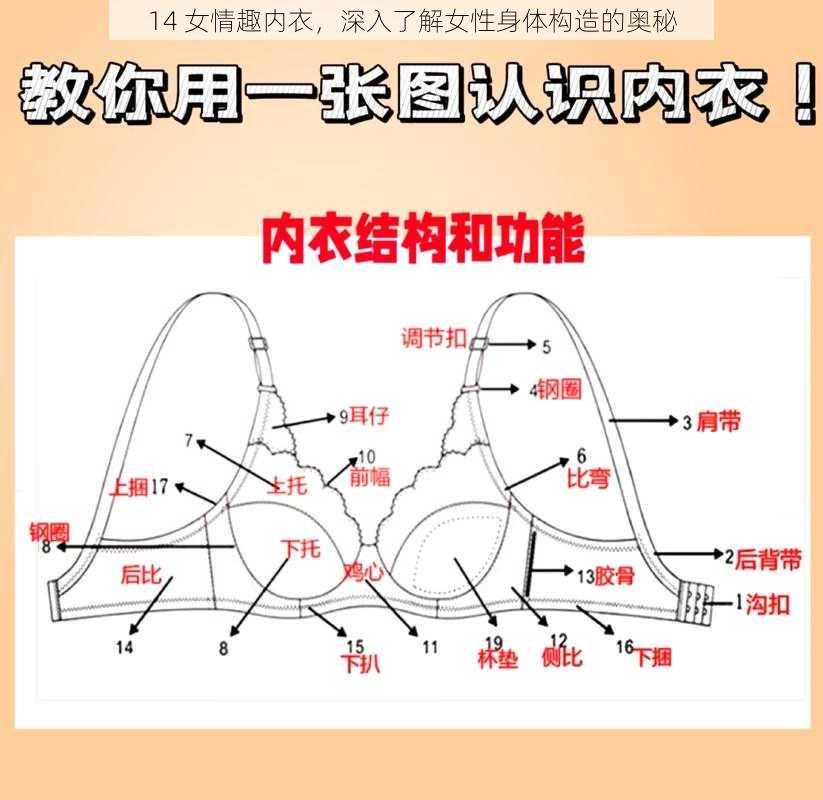 14 女情趣内衣，深入了解女性身体构造的奥秘