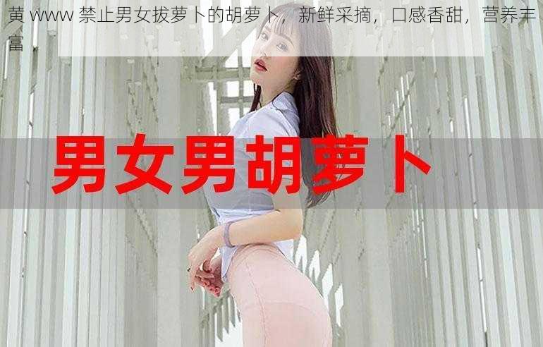 黄 www 禁止男女拔萝卜的胡萝卜，新鲜采摘，口感香甜，营养丰富