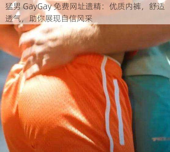 猛男 GayGay 免费网址遗精：优质内裤，舒适透气，助你展现自信风采