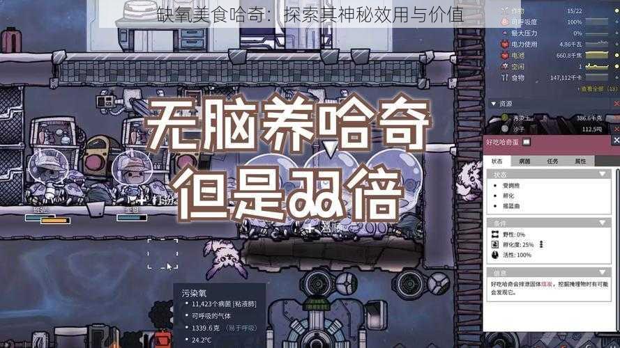 缺氧美食哈奇：探索其神秘效用与价值