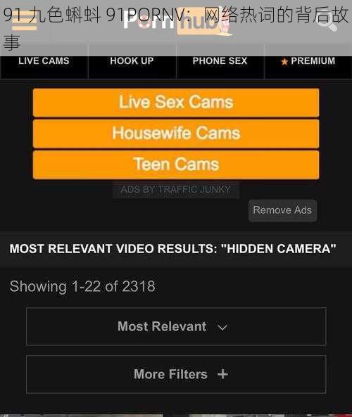 91 九色蝌蚪 91PORNV：网络热词的背后故事