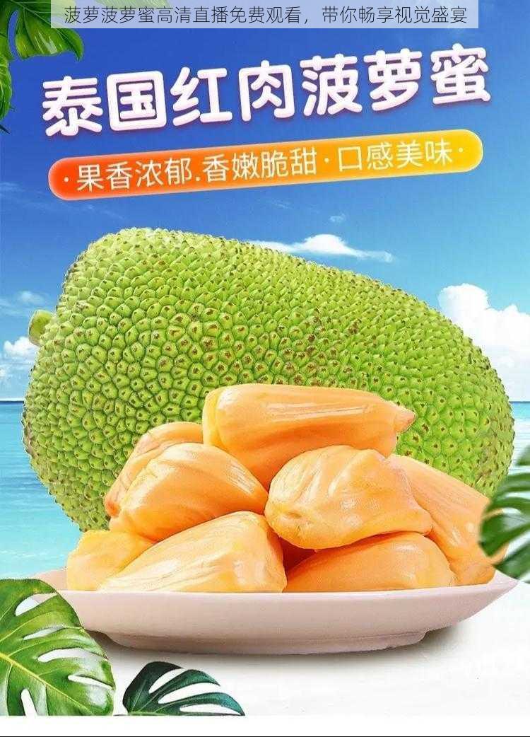 菠萝菠萝蜜高清直播免费观看，带你畅享视觉盛宴