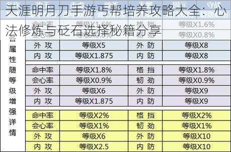 天涯明月刀手游丐帮培养攻略大全：心法修炼与砭石选择秘籍分享