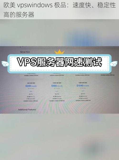 欧美 vpswindows 极品：速度快、稳定性高的服务器