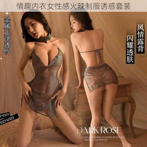 情趣内衣女性感火辣制服诱惑套装