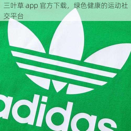 三叶草 app 官方下载，绿色健康的运动社交平台