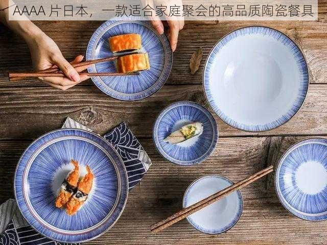 AAAA 片日本，一款适合家庭聚会的高品质陶瓷餐具