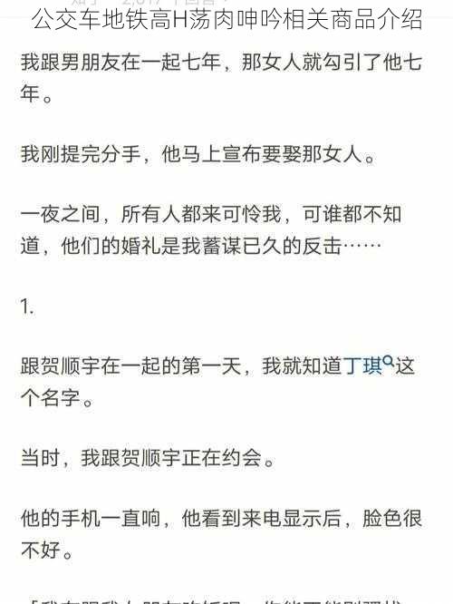 公交车地铁高H荡肉呻吟相关商品介绍