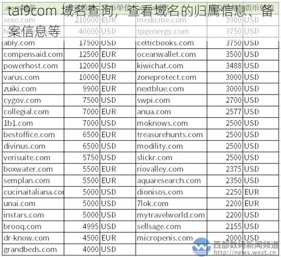 tai9com 域名查询，查看域名的归属信息、备案信息等