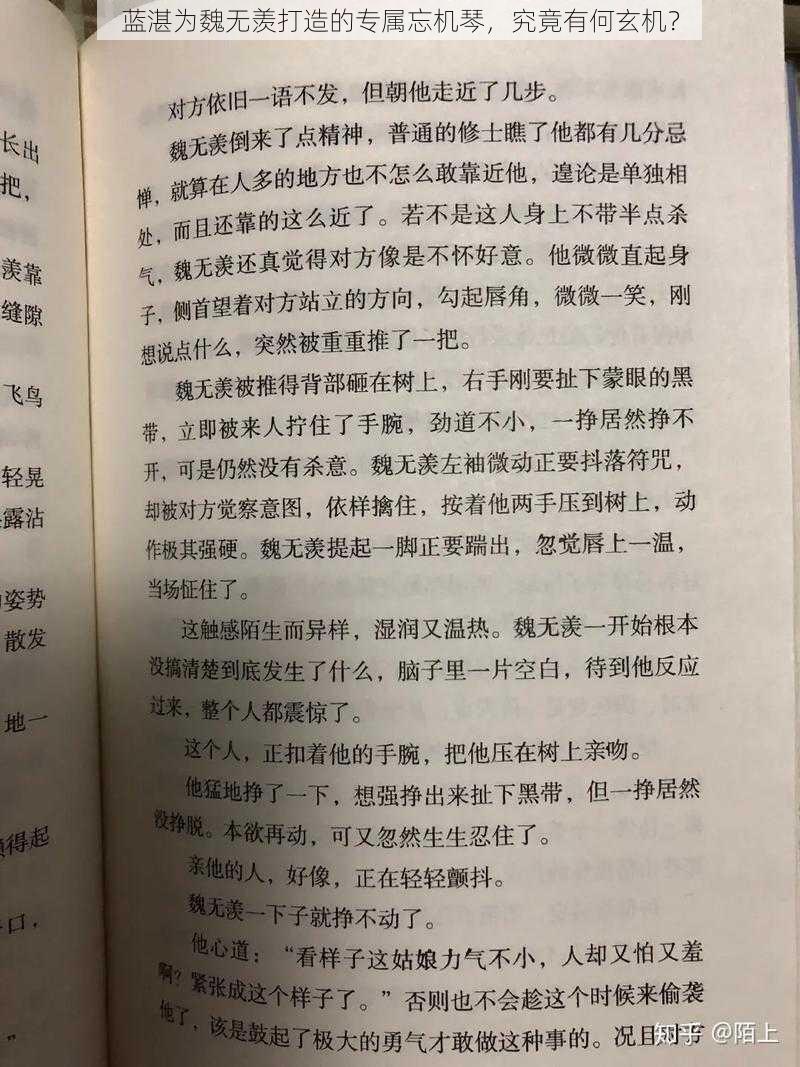 蓝湛为魏无羡打造的专属忘机琴，究竟有何玄机？