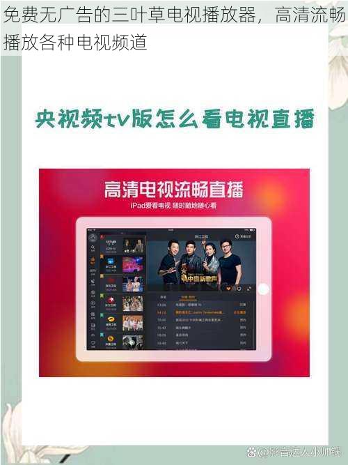 免费无广告的三叶草电视播放器，高清流畅播放各种电视频道