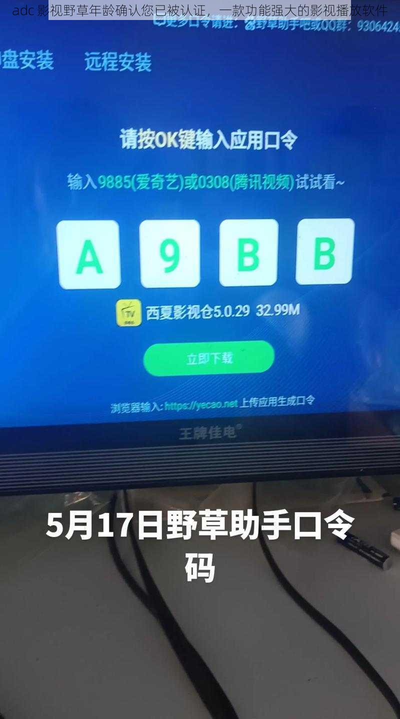 adc 影视野草年龄确认您已被认证，一款功能强大的影视播放软件