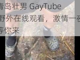 青岛壮男 GayTube 野外在线观看，激情一夜等你来