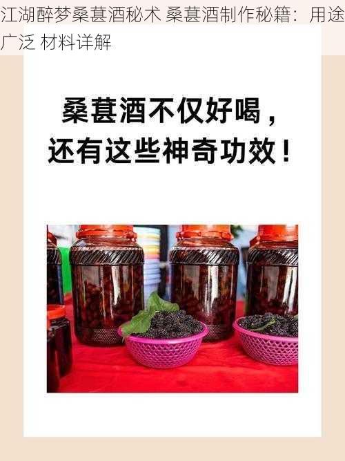 江湖醉梦桑葚酒秘术 桑葚酒制作秘籍：用途广泛 材料详解